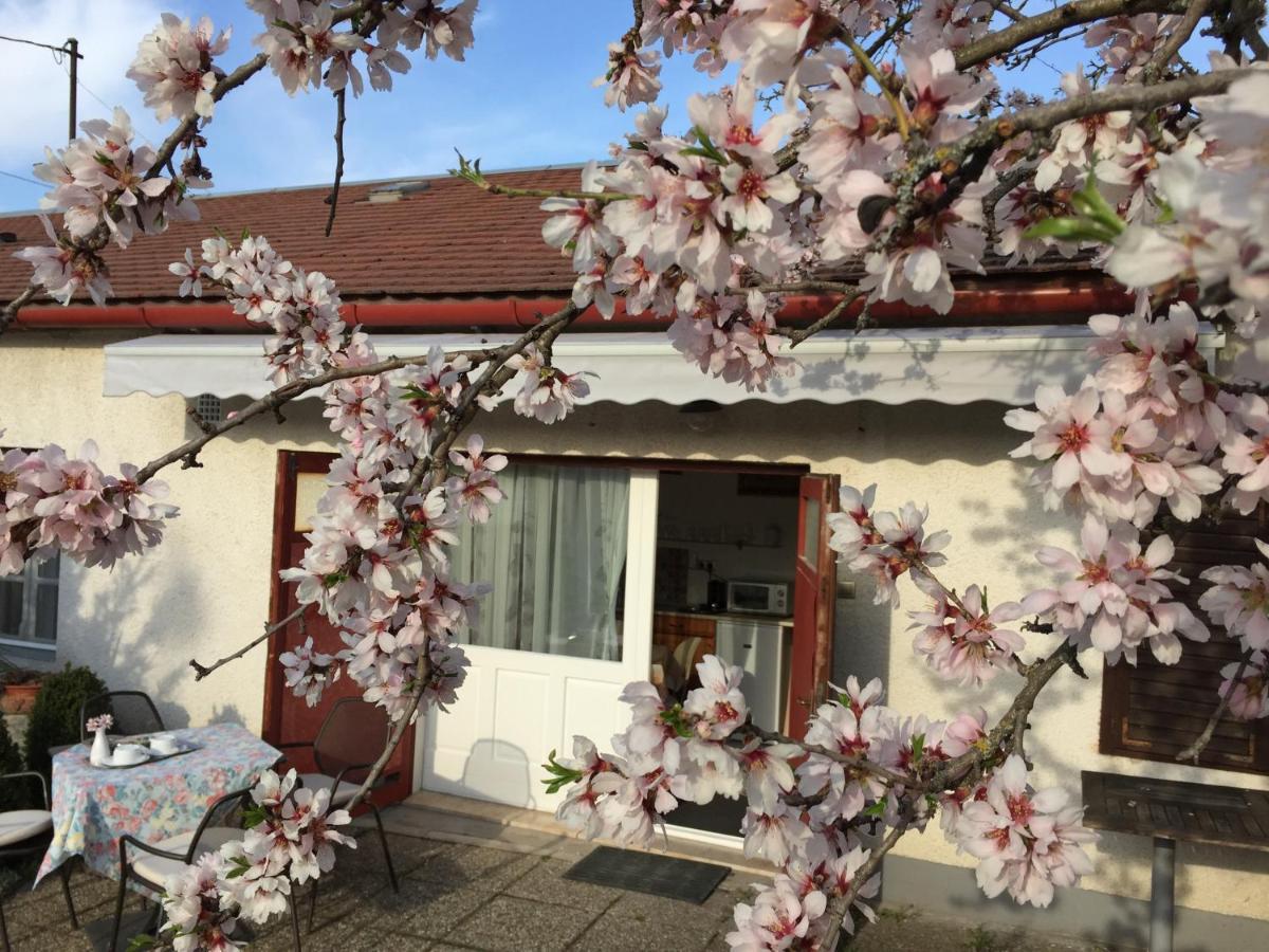 Hotel Mandula Haz Veszprém Exterior foto